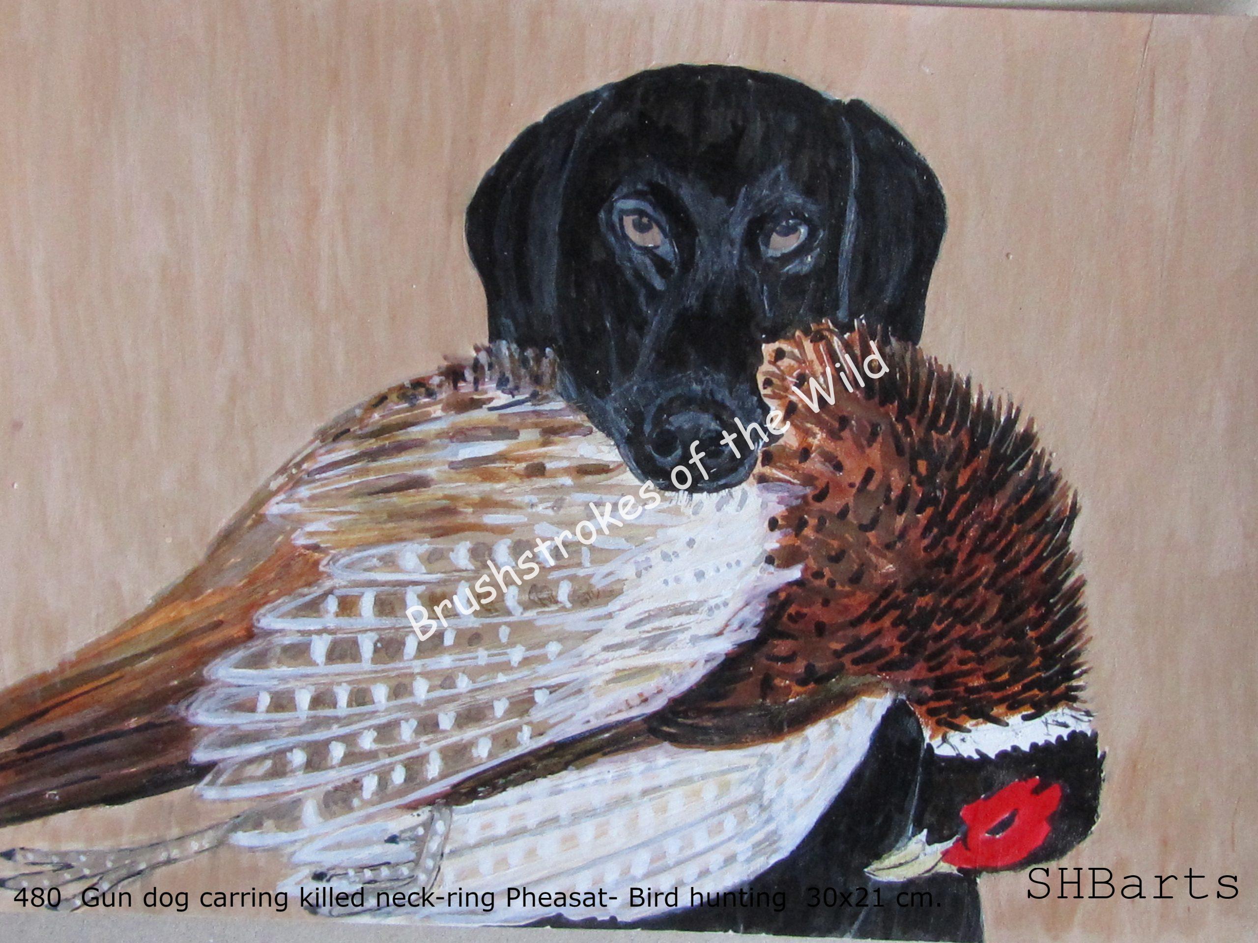 Gun Dog carrying Pheasant