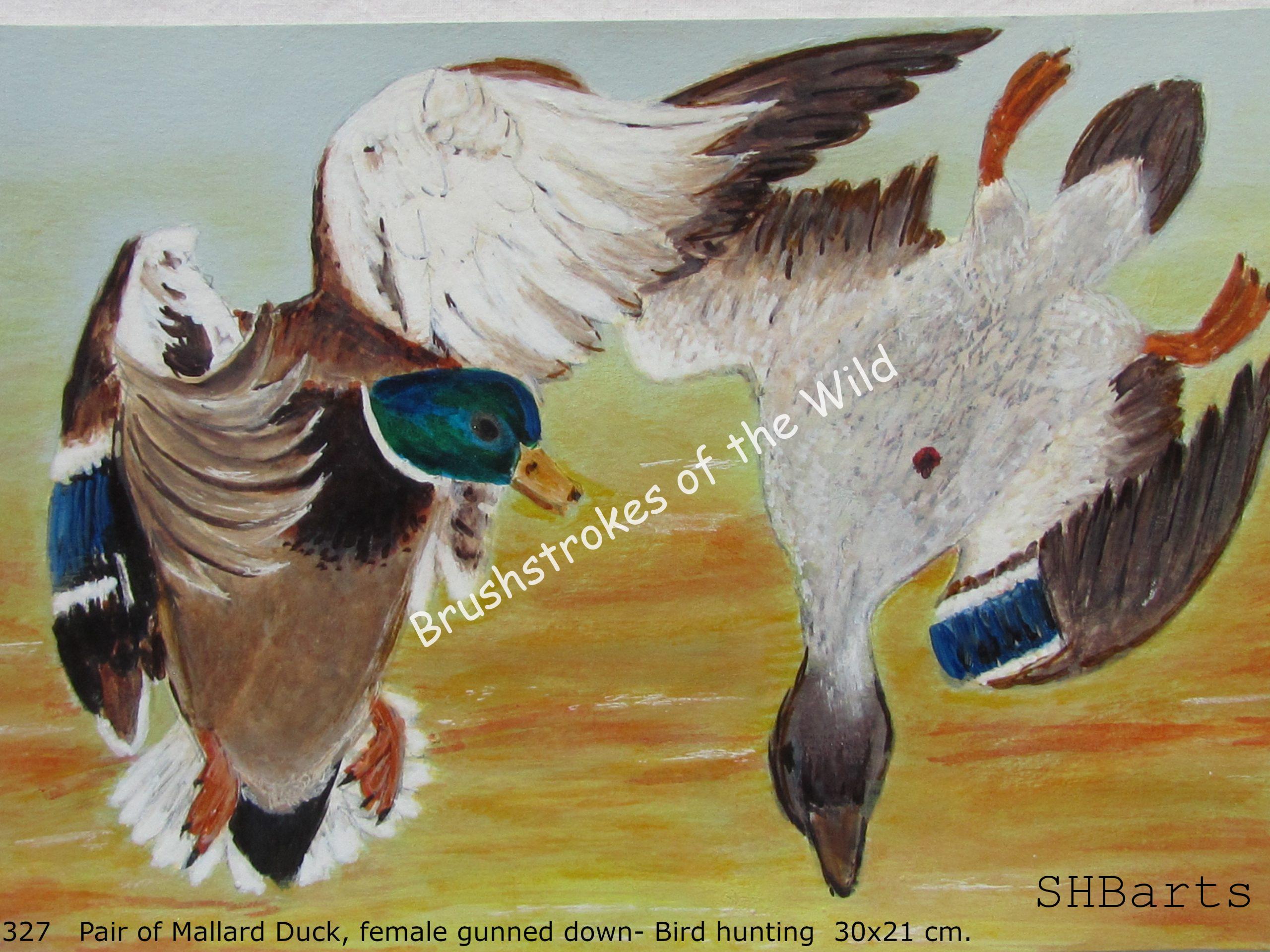 Guned down female falling down - male flying and looking