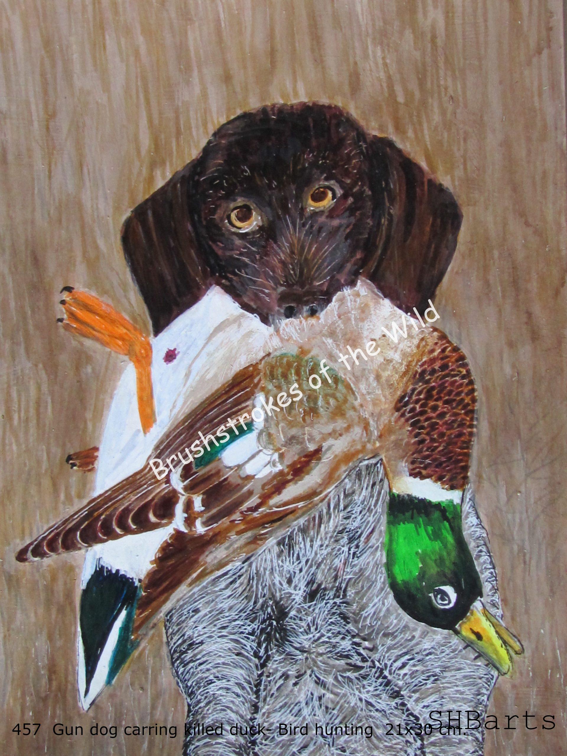 Gun Dog carrying Duck